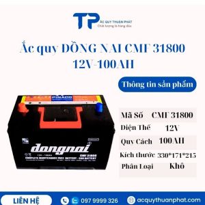 Ắc quy ĐỒNG NAI CMF 31800 12V-100AH miễn bảo dưỡng