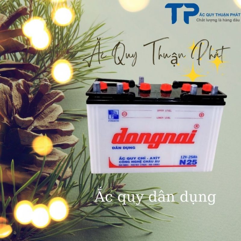 Ắc quy Đồng nai N25 chuyên dùng cho thắp sáng