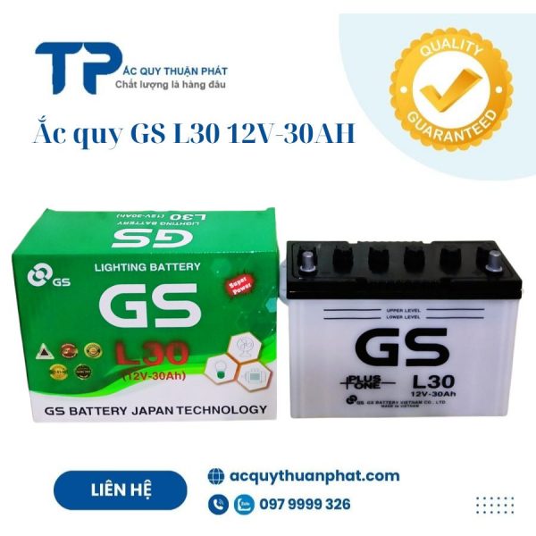 ẮC QUY GS L30 12V-30AH