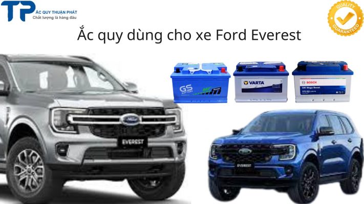 Thay ắc quy ô tô Ford Everest tận nơi TPHCM;