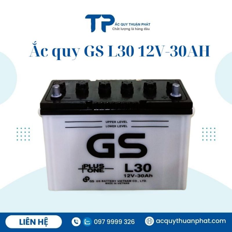 ẮC QUY GS L30 12V-30AH chính hãng