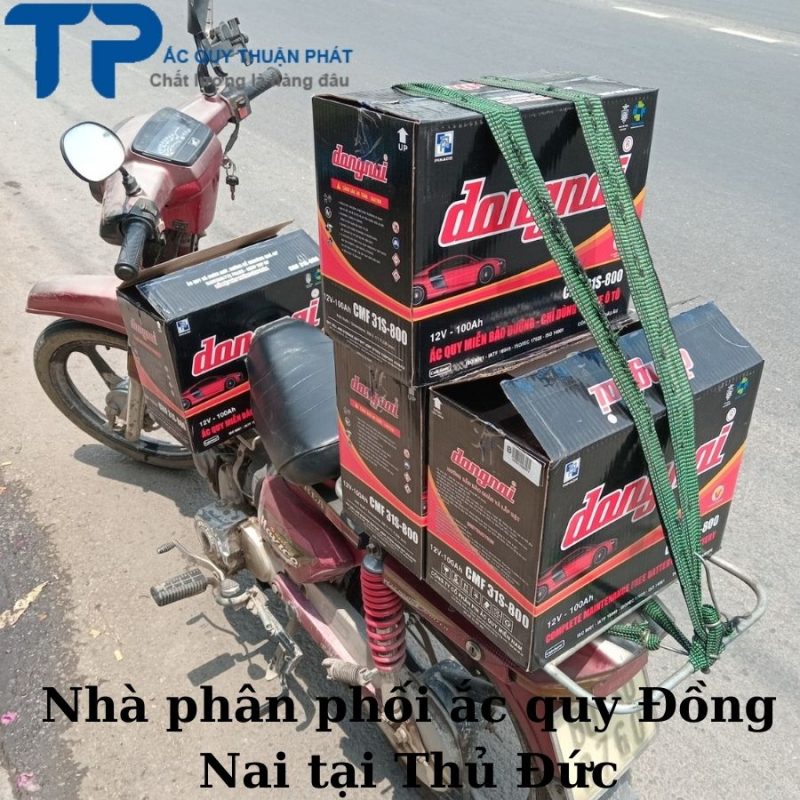 Nhà phân phối ắc quy Đồng Nai tại Thủ Đức