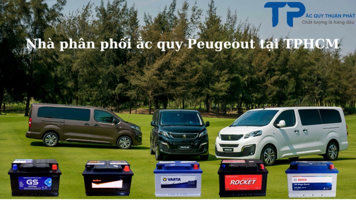 Nhà phân phối ắc quy Peugeout tại TPHCM