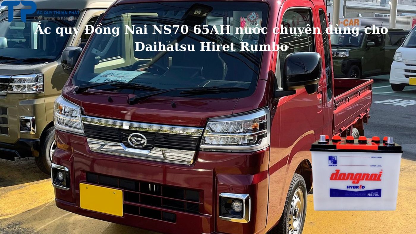 Ắc quy Đồng Nai NS70 65AH nước chuyên dùng cho Daihatsu Hiret Rumbo