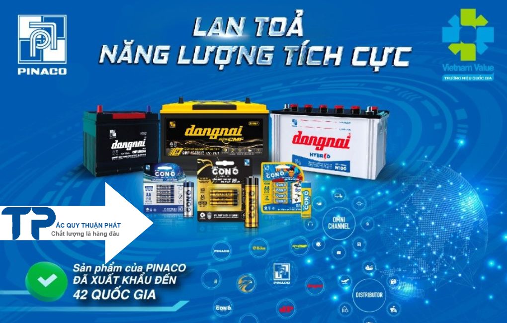 Ắc quy Đồng Nai Pinaco;