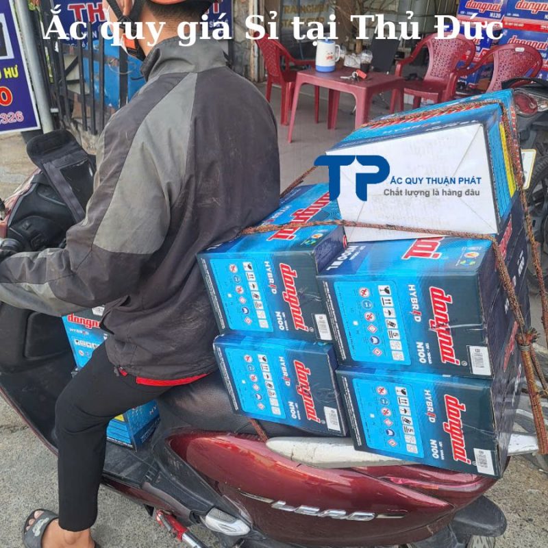 Ắc quy giá Sỉ Thành Phố Thủ Đức