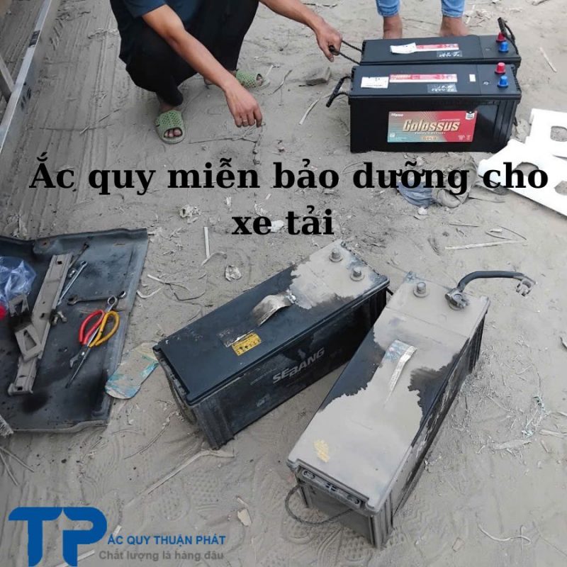 Ắc quy miễn bảo dưỡng cho xe tải nặng