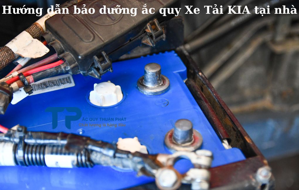 Hướng dẫn bảo dưỡng ắc quy Xe Tải KIA tại nhà