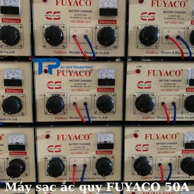 Máy sạc ắc quy FUYACO 20A