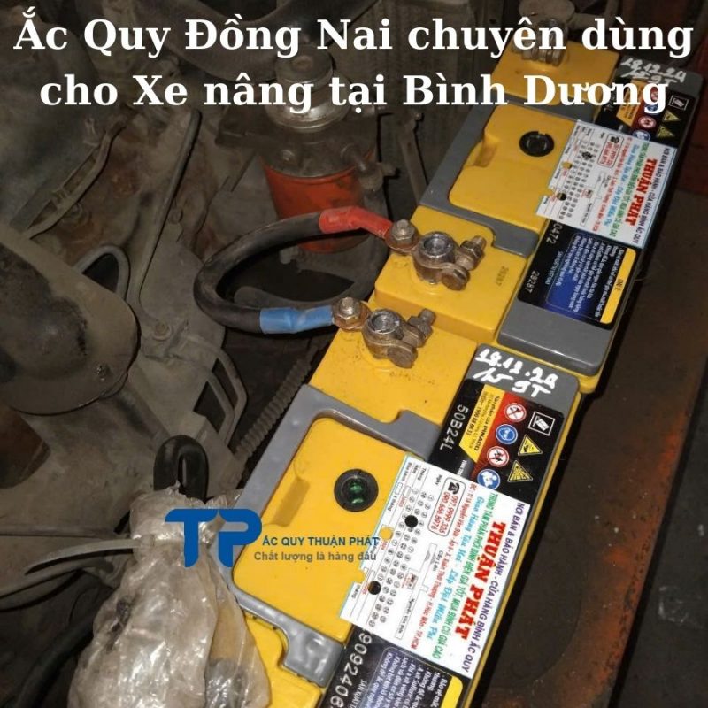 Ắc quy Đồng Nai chuyên dùng cho xe Nâng tại Bình Dương