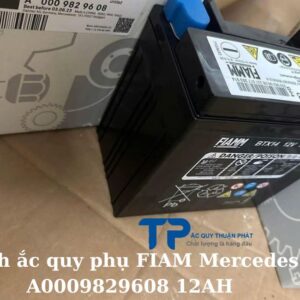 Bình ắc quy phụ FIAM Mercedes A0009829608 12AH