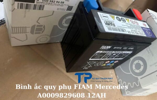 Bình ắc quy phụ FIAM Mercedes A0009829608 12AH