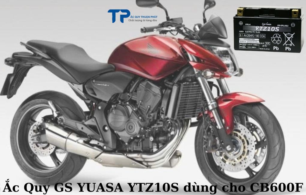Ắc quy GS YUASA YTZ10S dùng cho CB600F