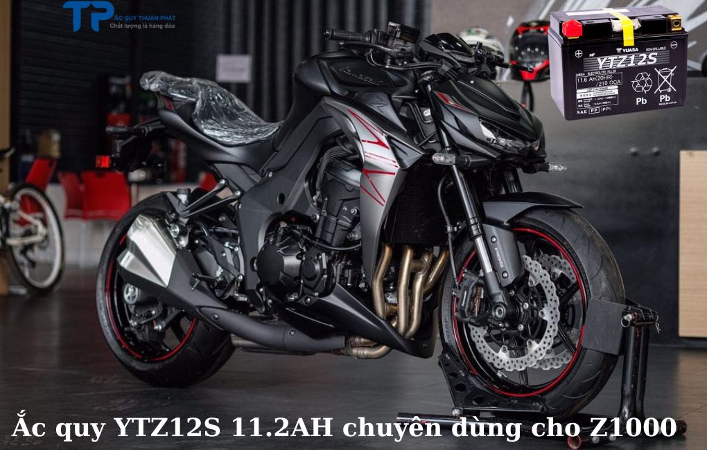 Ắc quy GS YUASA YTZ12S - 11.6AH chuyên dùng cho Z1000