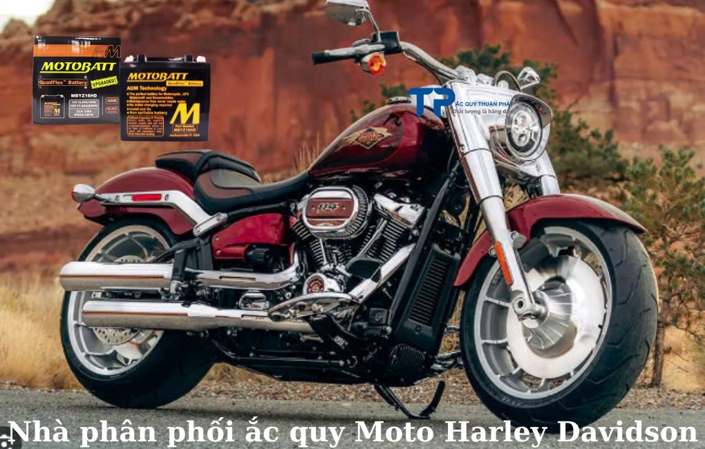 Nhà phân phối ắc quy Mô tô Harley Davidson