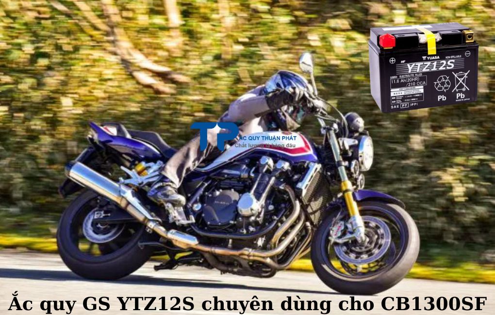 Ắc quy GS YTZ12S chuyên dùng cho CB1300SF