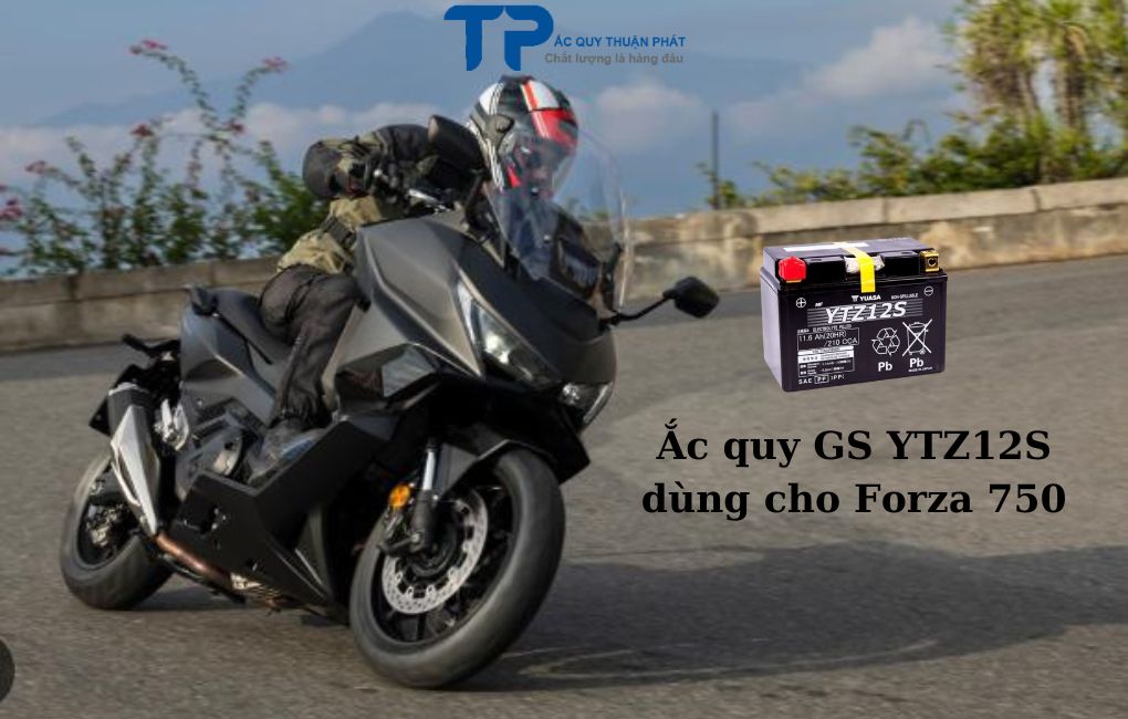 Ắc quy GS YTZ12S dùng cho Forza 750cc