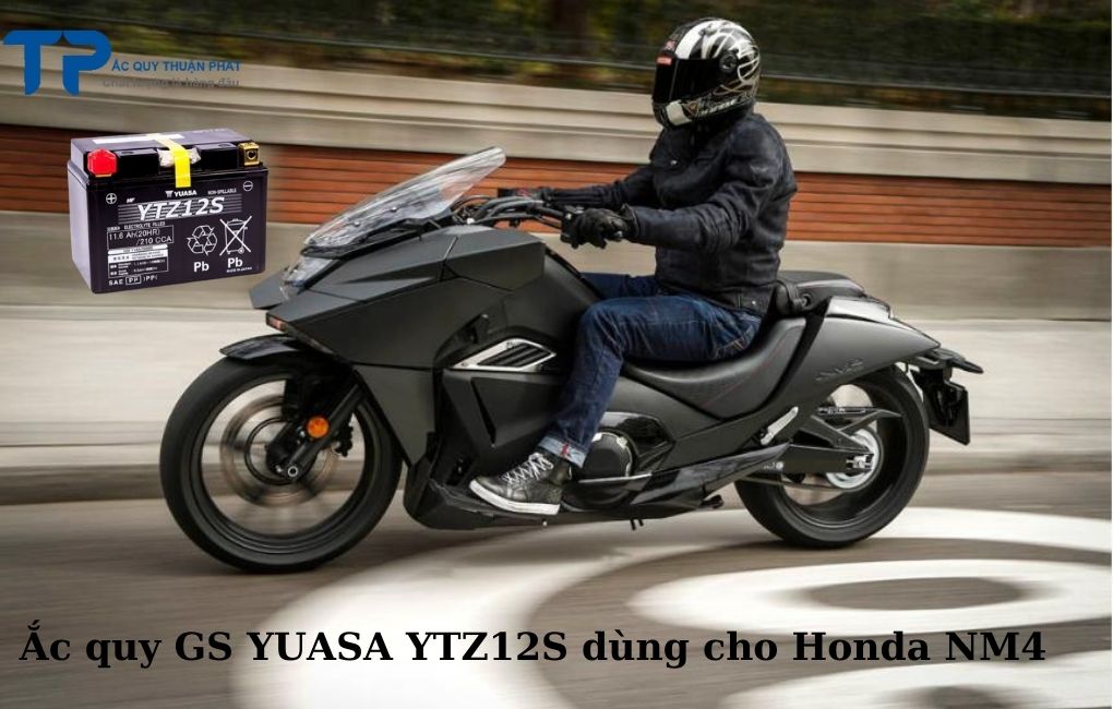 Ắc quy GS YUASA YTZ12S dùng cho NM4