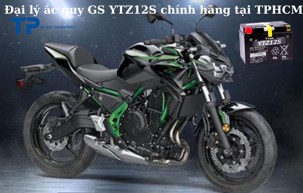 Bình ắc quy GS YTZ12S chính hãng tại TPHCM