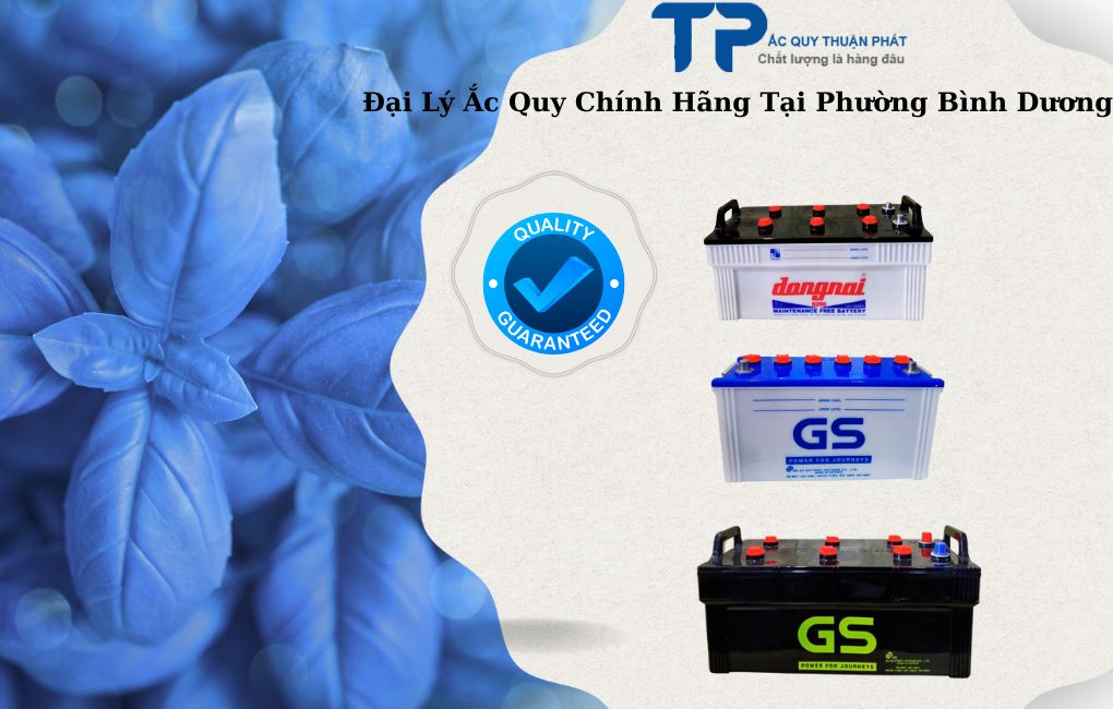 Đại lý ắc quy chính hãng tại Phường Bình Dương