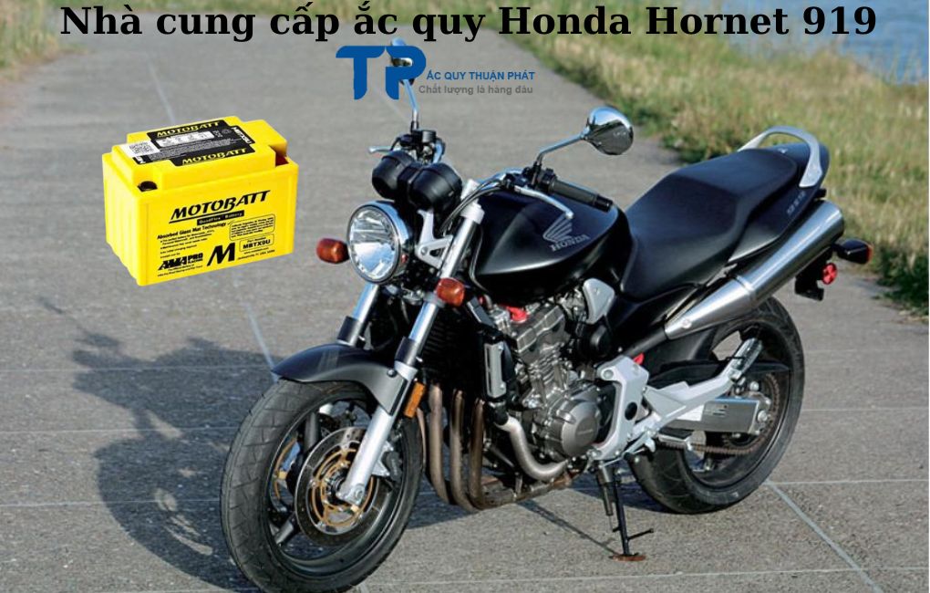 Nhà cung cấp ắc quy Honda Hornet 919