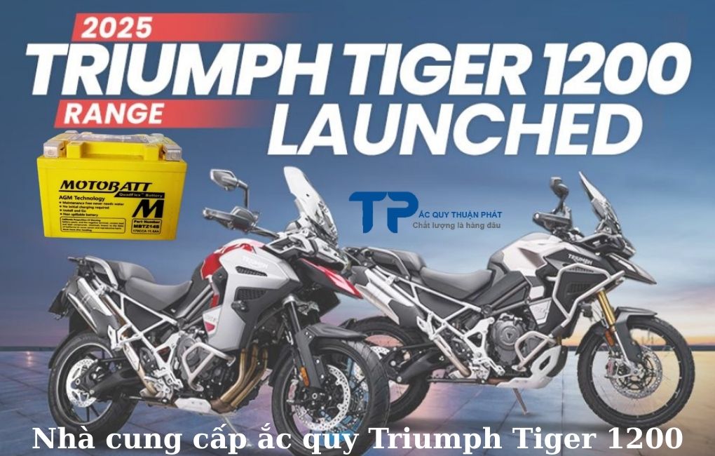 Nhà cung cấp ắc quy Triumph Tiger 1200