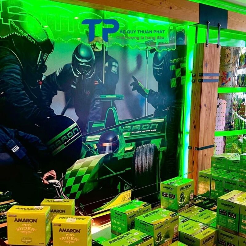 Nhà phân phối ắc quy AMARON tại TPHCM