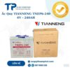 Ắc Quy Tianneng TNEP6 6V - 240AH