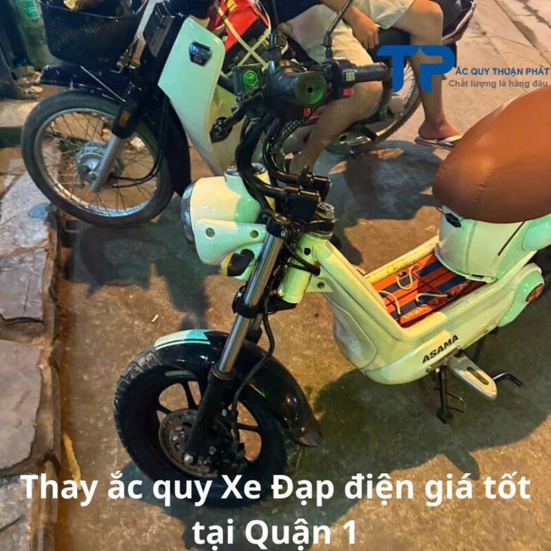 Thay ắc quy Xe Đạp Điện giá tốt tại Quận 1