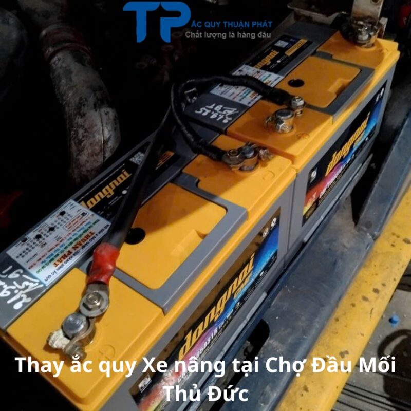Thay ắc quy Xe Nâng tại Chợ Đầu Mối Thủ Đức