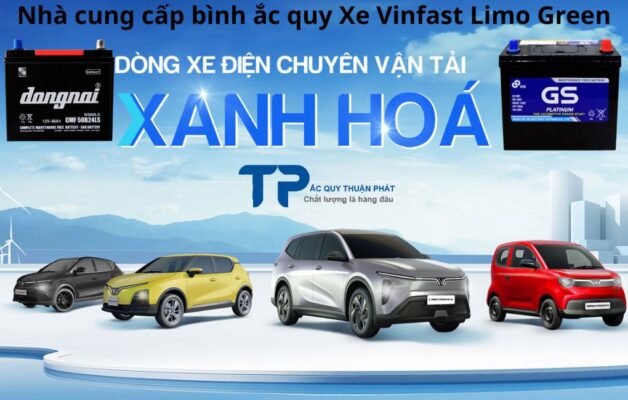 Nhà cung cấp bình ắc quy xe Vinfast LimoGreen