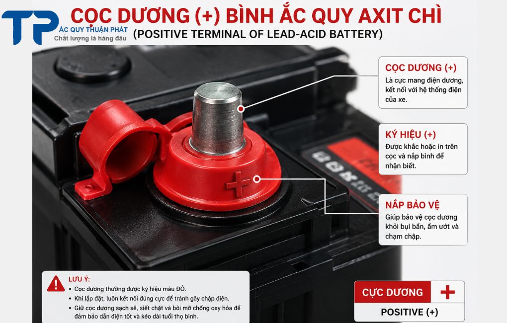 Cọc dương bình ắc quy axit chì