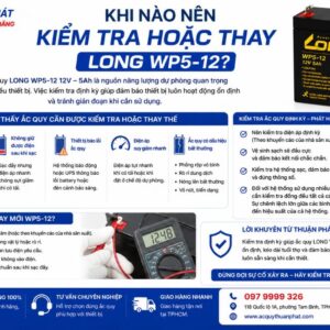 Khi nào nên kiểm tra hoặc thay Long WP5-12