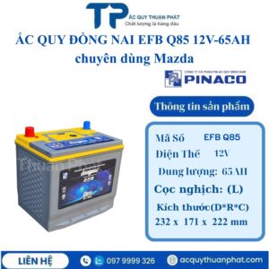 Ắc Quy Đồng Nai EFB Q85 12V - 65AH chuyên dụng Mazda