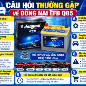 Câu hỏi thường gặp về Đồng nai EFB Q85