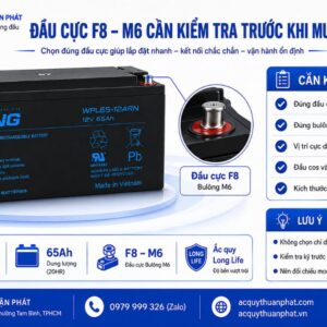 Đầu cực F8-M6 cần kiểm tra trước khi mua