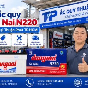 Mua ắc quy Đồng Nai N220 chính hãng tại Thuận Phát