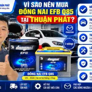 Vì sao nên mua đồng nai EFB Q85 tại Thuận Phát