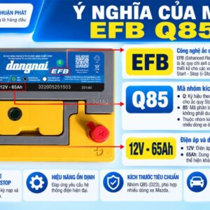Ý nghĩa của Mã EFB Q85